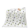 Blanket Fruit Vegetable Blanket Lamb Fleece Crystal Fleece Blanket Blanket Universal