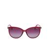 Polaroid PLD 6231/S Sunglasses