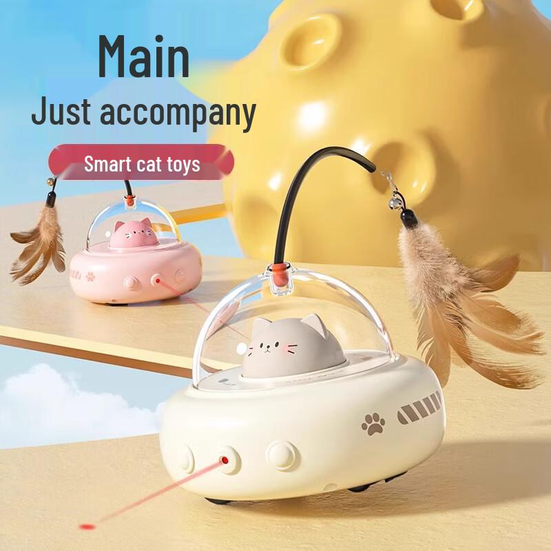 Electric Cat Toy Teaser Wand & Laser Car