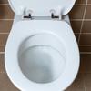 Hinge Set Replacement Parts Easy Installation Fashionable Appearance Premium Materials Toilet Seat For Easy Replacement