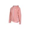 Sportovní oblečení Tech Fleece Logo Pulovr Mikina s kapucí Dámské Svrchní oblečení Růžová BV7566-606