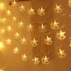 1.5 M EID Mubarak String Lights 10 LED Decorative Moon Star Castle Lantern Battery Operated Islamic Festival Lights