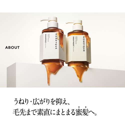 Honeyku Deep Repair Hair Treatment Moist