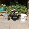 Flower Pot Metal Iron Bucket Planters Pot Metal Bucket Flower Holder with Hooks