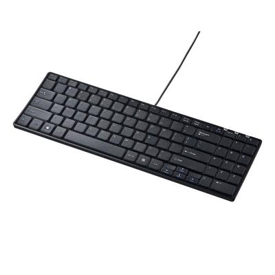 Sanwa Supply English Layout USB Slim Keyboard (Black) SKB-E2UN