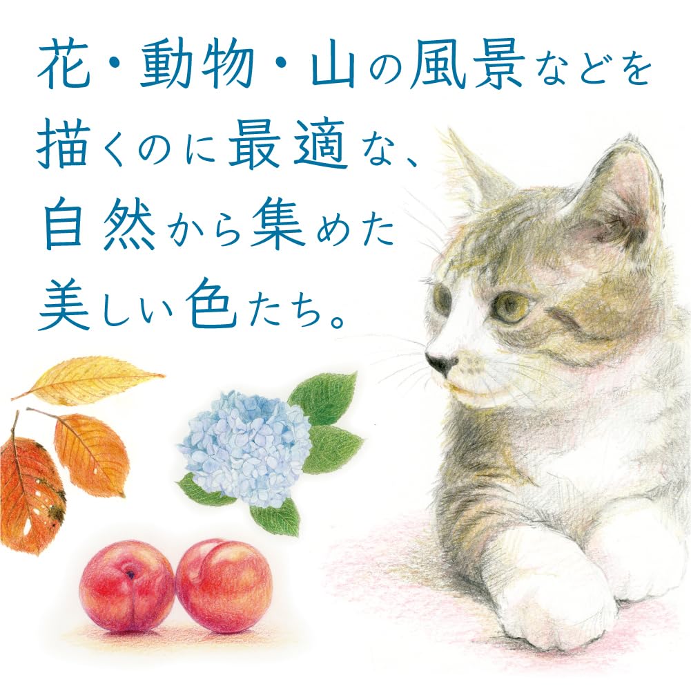 Tombow Colored Color Dictionary Select Set Colors Perfect for Drawing Pencils, 36-Color (Book Type) (36 Landscapes) CI-RSA36C