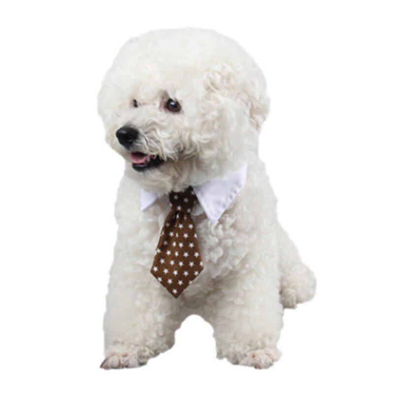 puppy tie