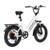Bodywel F20 Folding Electric Snowmobile 500W Motor 48V13.5Ah Battery City E-Bike 20 Inch Anti-Skid Wide Tire Outdoor Riding Electric Bicycle