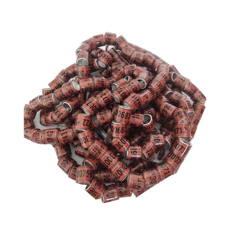 20 Pcs Pigeon Foot Ring With Word Earrings 2021 Multicolor Bird Tools