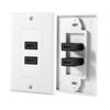  2-fold  Wall Cover 2 Ports  Socket  Wall Plate with Gold-plated High-speed Connections for Home Cinema TV 