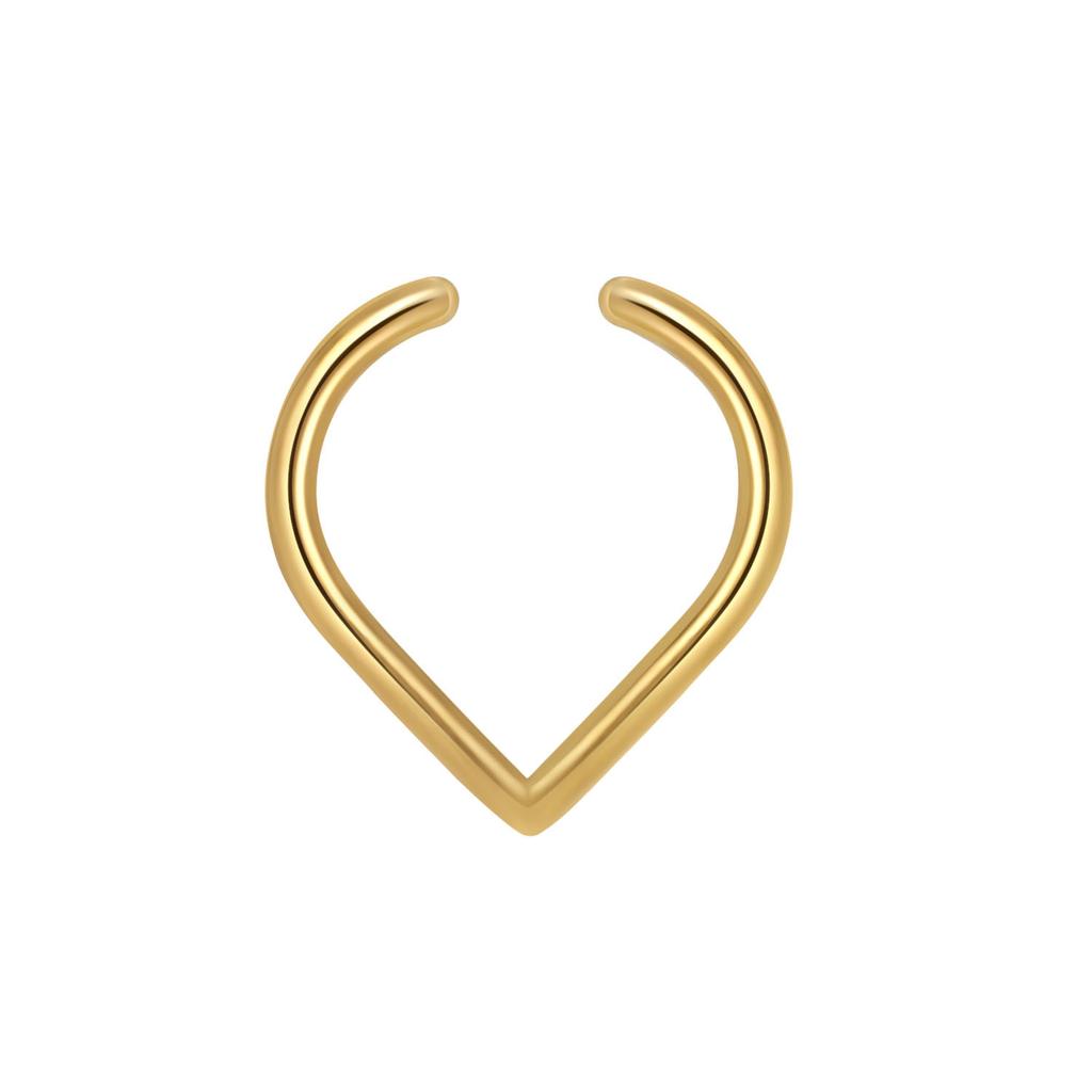 5Pcs New Stainless Steel Faux Septum Ring for Women Men Fake Non-Piercing Nose Ring Jewelry Non-Pierced Clip on Nose Ring Hoop