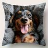 Cute Dachshund Pattern Digital Printing Pillow Cover Short Plush Suitable Living Rooms Bedrooms Sofas Throw Cushion Cover 4Pcs