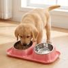 Detachable Stainless Steel Pet Bowl Anti-Overturning Pet Water Dispenser Double Pet Bowl  Travel