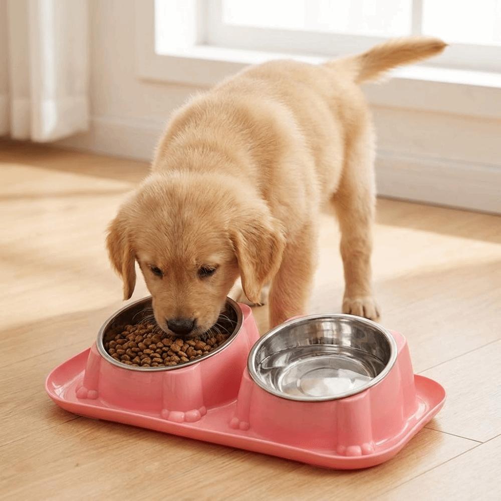 Detachable Stainless Steel Pet Bowl Anti-Overturning Pet Water Dispenser Double Pet Bowl Travel