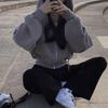 Dames Casual Hoodies Herfst Retro Effen Kleur Rits Oversized Sweatshirts Harajuku Lange Mouw Capuchon Losse Korte Jassen Jas