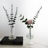 Creative Transparent Glass Vase Hydroponic Container Desktop Flower Holder Plant Planter Decorative Centerpiece for Home