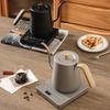 Stainless Steel Electric Gooseneck Kettle with Temperature Control