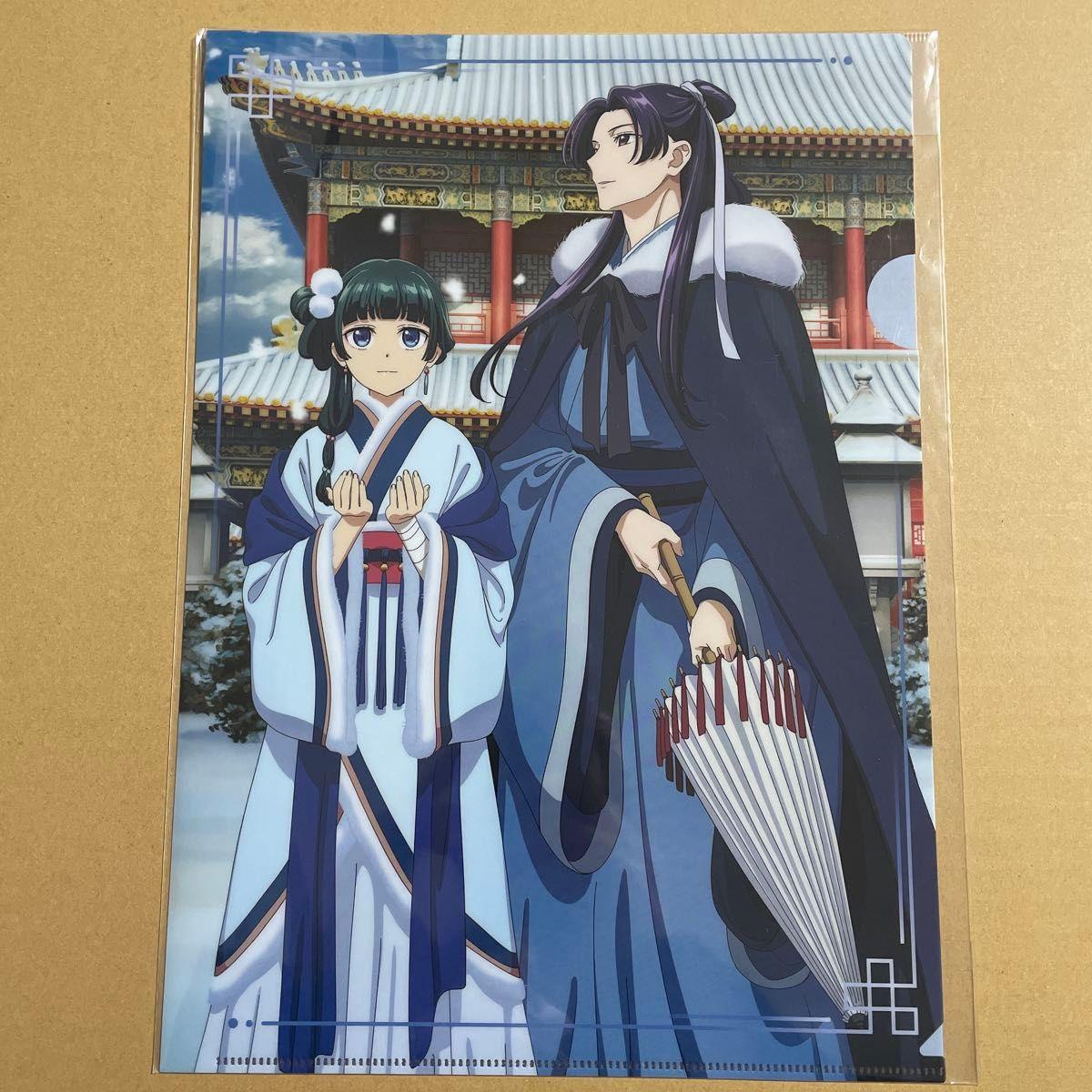 Used Pharmacist s Soliloquy Clear File
