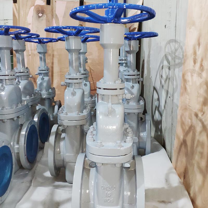 Lanyuxinglin Slab Gate Valve