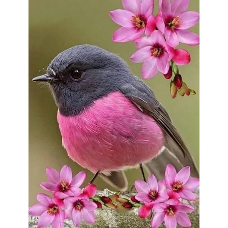 Neue 5D DIY Diamant Malerei Vogel Diamant Stickerei Tiere Kreuz Stich Voll Platz Runde Bohrer Handwerk Wohnkultur Manuelle Geschenk