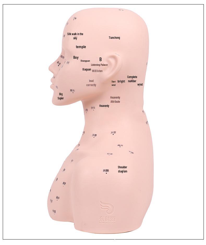 Bald Beauty Mannequin Head with Shoulders for Face Massage
