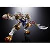 TAMASHII NATIONS Super Robot Wars GX-119 Ryukooh & Toriyuoh 210mm Diecast ABS PVC Painted Action Figure