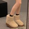 Fashion Designer Fashion Winter Brown Short Boots New Platform Female Shoes Push Size Ankle Boots for Women and Snow Boot