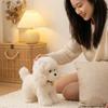 30~40Cm Simulation Bell Teddy Dog Plush Toy Four Colors Animal Puppy Doll Kawaii Companion Birthday Present