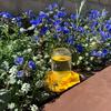 Bee Water Feeder with Perch Safe Honeybee Drinking Station for Garden Patio Beekeeping Supplies, Small-Hole Honeycomb Tray