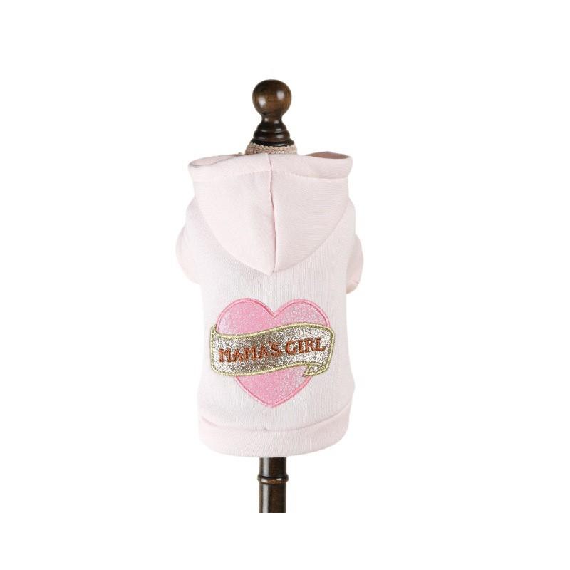 PETCIRCLE Dog Hoodie 2026 Fall Winter Small Puppy Embroidered Two-Legged Pet Clothes