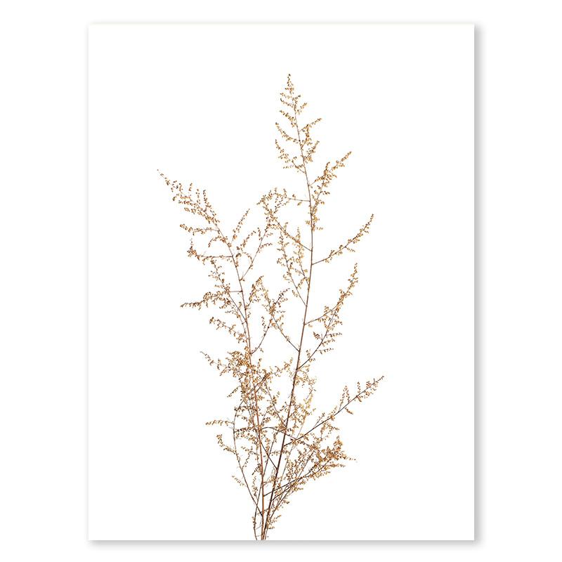 

Скандинавский Минимализм Камыш Сухоцвет Растение Постер Осень Фермерский Дом Арт Принт Картина Современная Комната Стена Домашний Декор Холст Живопись 21x30cm No Frame