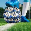 Coraline Theme Size 5 Soccer Ball, Suitable for Both Indoor and Outdoor Matches, a Gift Suitable for Everyone.