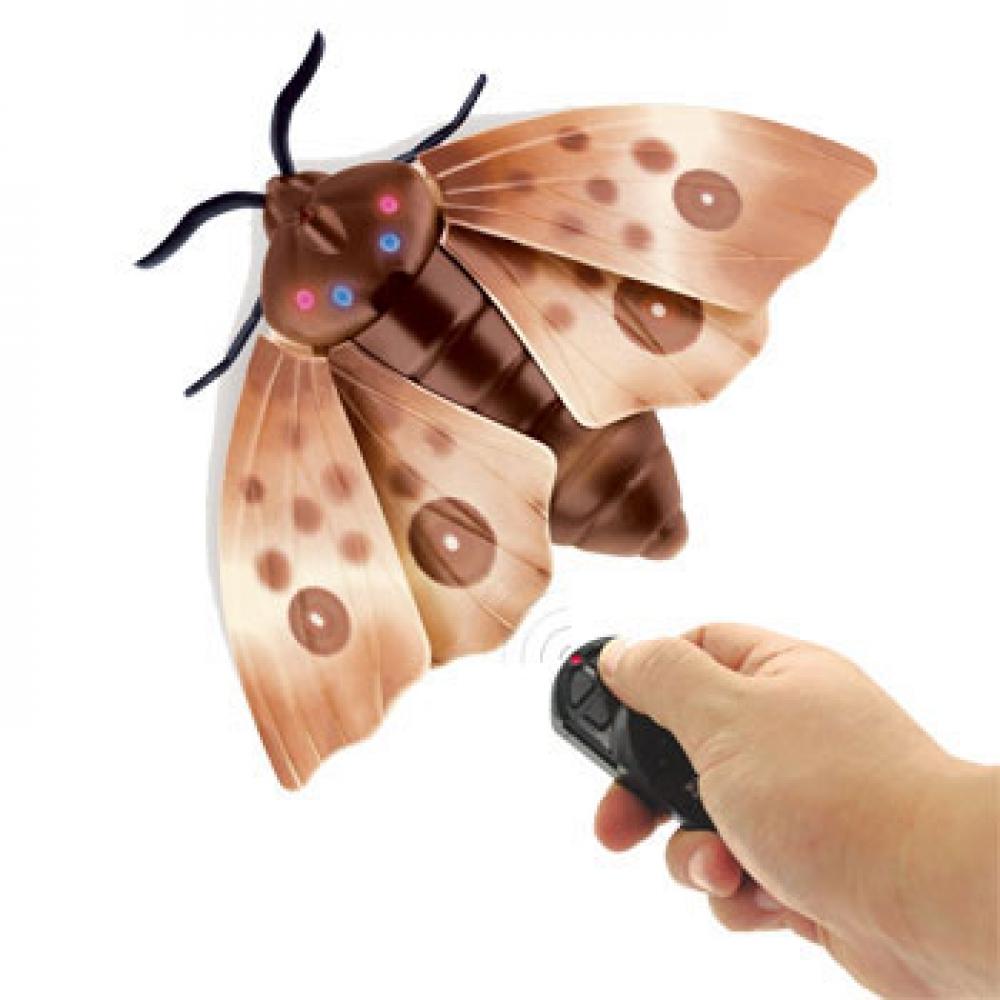 

Dongyousha Бег Серия насекомых №8 Моль