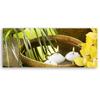 Canvas Print, Flowers Bamboo Zen
