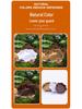 Turtle Climbing & Bathing Habitat with Moisturizing Features and Decorative Landscaping