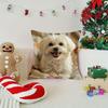 Weiße Malteser Hund Kissenbezüge Schlafzimmer Sofa Quadratische Kissenhülle Wohnzimmer Stuhl Kissenbezüge Innen Hausdekoration Geschenk