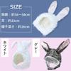 Aisare Usagi (Lovely Rabbit) Rabbit Headband, Halloween Cosplay, Korean Y2K Costume, Women's, Girls, Events, Headband (White)