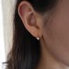 Solar Earring