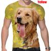 Fashion Short-sleeved Cute Dog 3D Printed T-shirt Golden Retriever Fashion Casual Man T-shirt Shirt