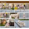 Autumn Winter Pet Coat Clothes Outdoor Dog Jacket with Harness for Small Medium Dogs Thick Warm Pet Cotton-Padded Clothing