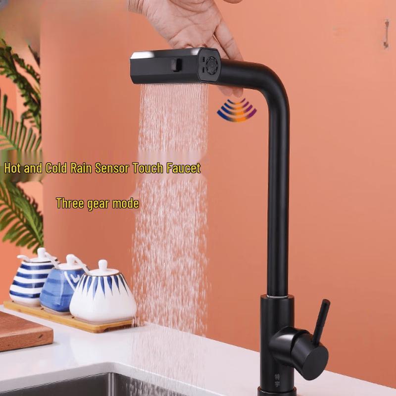 

Henton Black & Gold Pull-Out Kitchen Faucet
