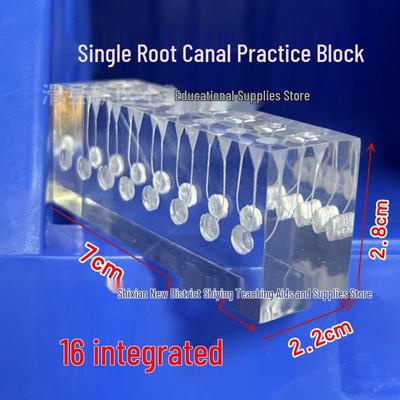 Dental Resin Root Canal Practice Model: Transparent Pulp Tooth Filling Preparation