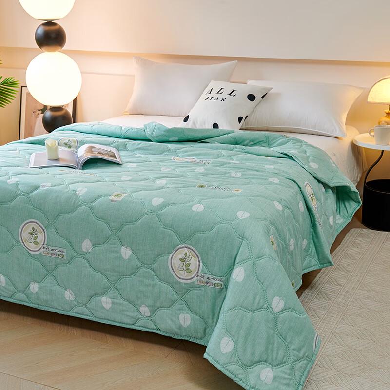 Zmn Mint Cooling Summer Quilt
