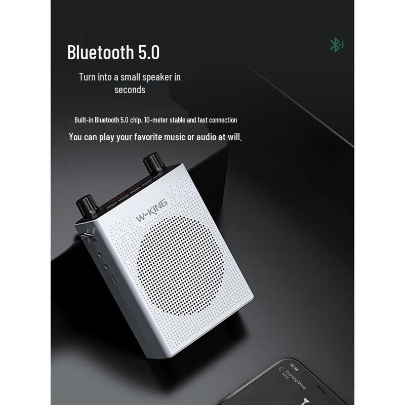 W-King KS16+ Wireless Voice Amplifier