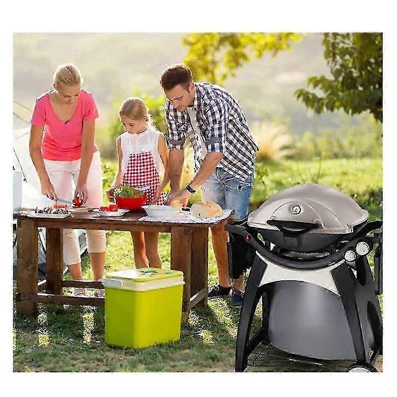 Weber Q320 Igniter Upgrade Kit