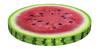 Watermelon Ring Chair Cushion