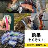 Dream Up Reen Shad 2.6 Inch 10 Colors Middle Game