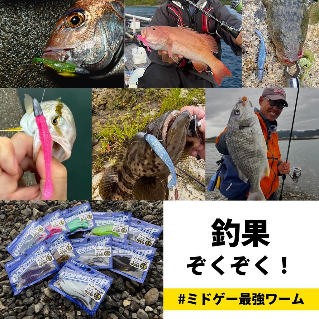 Dream Up Reen Shad 2.6 Inch 10 Colors Middle Game