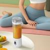 Fruit Juicer Personal Portable Blender Large Capacity Food Grade BPA