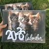 2026 Cute Cat Spiral Wall Calendar – 12-Month Kitty Design